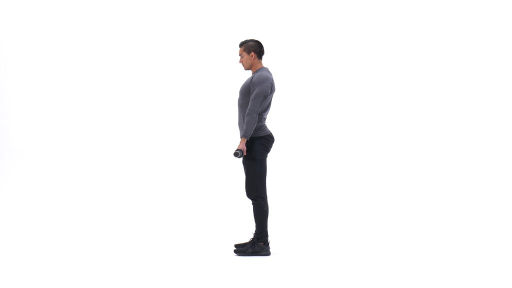 Barbell Deadlift Exercise