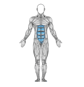 Barbell Deadlift Exercise