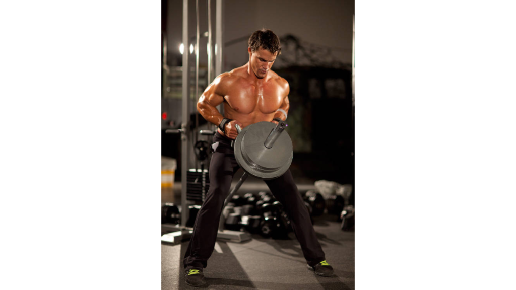 t-bar row with handle exercise